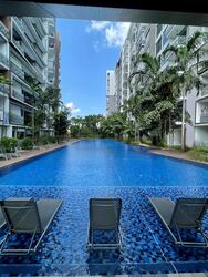 Forest Woods (D19), Condominium #575949371